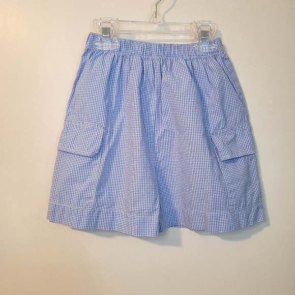 Blue Gingham Shorts - Picture 1 of 5